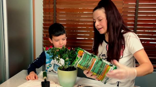 Купил Волшебное зелье для Цветов смотреть онлайн