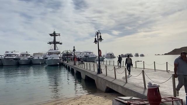 ЕГИПЕТ декабрь 2021. ЖЕСТЬ. Экскурсия ДАЙВИНГ. КРАСНОЕ МОРЕ. Sharm Grand Plaza Resort Шарм-Эль-Шэй смотреть онлайн