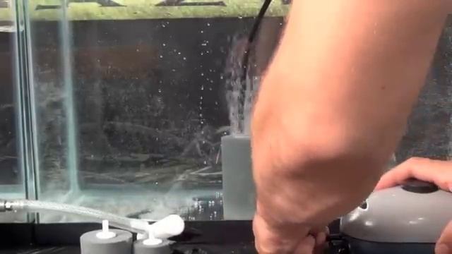 TEST- Air Stones For Hydroponics DWC Deep Water Culture Indoor Garden Oxygen Diffusion смотреть онлайн