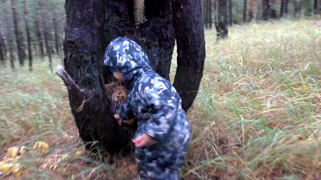 ДЕТИ В ЛЕСУ. Vlog Детские развлечения на природе. Собираем грибы и киндер сюрпризы KINDER SURPRISE смотреть онлайн