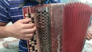 Птица счастья! Разбор песни!