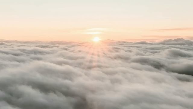 Это всё майя смотреть онлайн