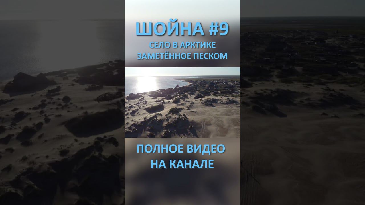 ШОЙНА SHOYNA 9 SHORTS #SHORTS смотреть онлайн