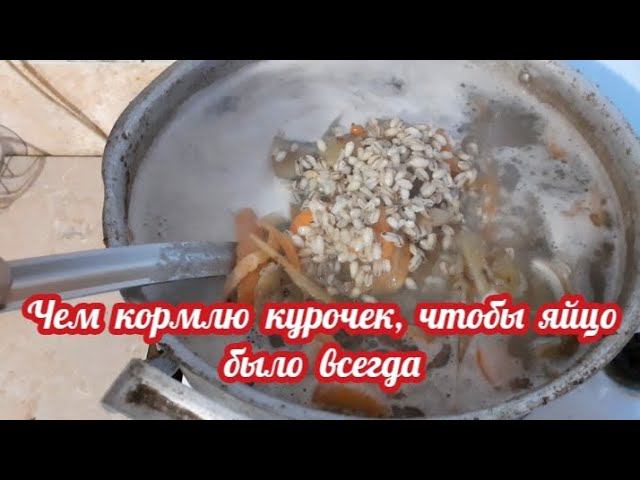 Курочки. Первая потеря в этом году... смотреть онлайн