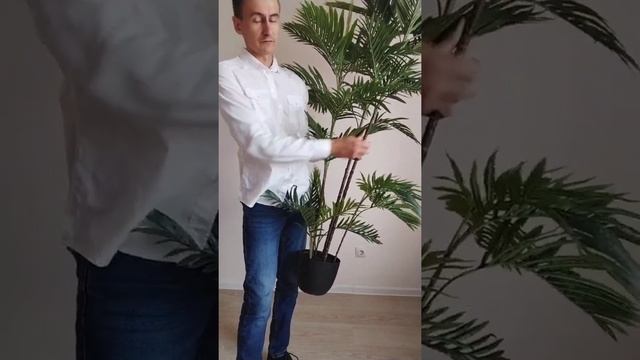 Пальма Ховея 200 см. - искусственное дерево|имитация живого дерева смотреть онлайн