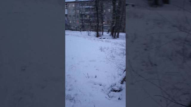 Луганск