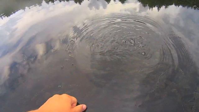 Ловля щуки на поппер летом. смотреть онлайн