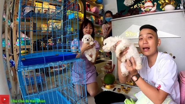 Chú chó đi hai chân | Clip đặt biệt: Đón thành viên mới BÔNG BÉ BỎNG (dog walking on two leg) смотреть онлайн