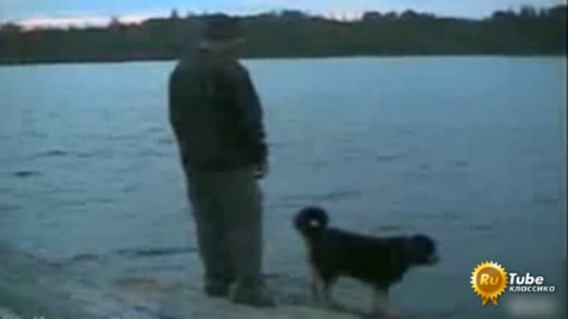 Не рой другому яму… смотреть онлайн