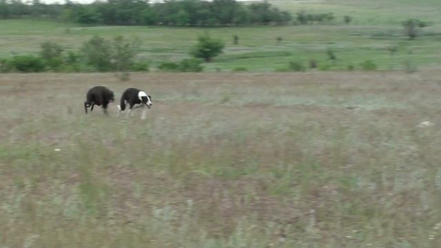 KILARA HEY MAC и ГЛЮКОЗА смотреть онлайн