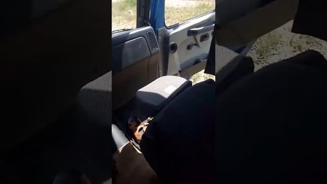 Краткий обзор кабины МАЗ смотреть онлайн