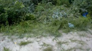 Рыбалка на хопре