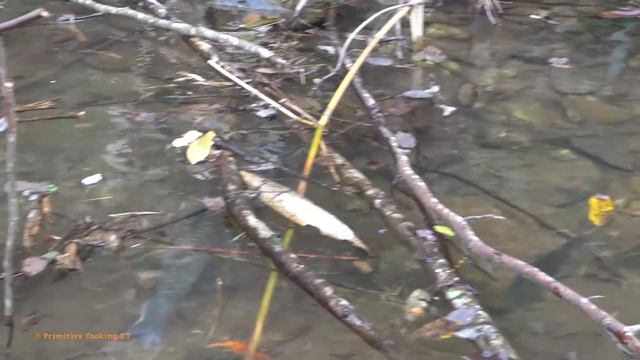 FULL VIDEO: 365 Days Survival in the Rainforest - Unique Fishing, Cooking Fish, Survival Instinct смотреть онлайн