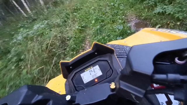 Едем на Мираторг за быками и в лес !!! смотреть онлайн