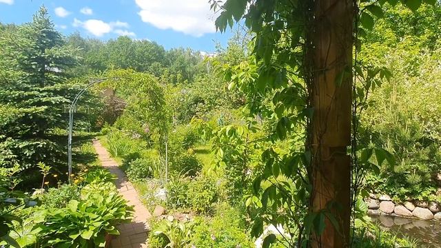 Купили дачу. Через 3 года явился 