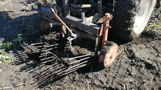 Трактор Т-25 с веерной вибрационной двухрядной картофелекопалкой смотреть онлайн