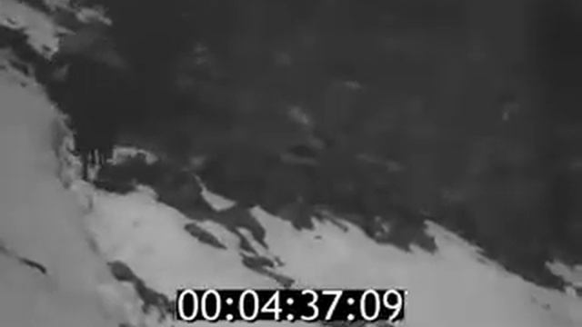 Город Ош Кыргызстан 1928 год смотреть онлайн