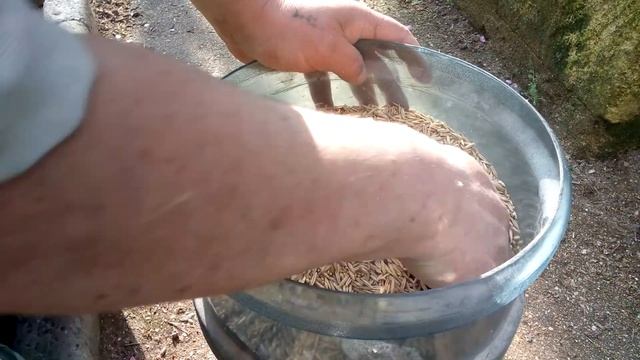 Состав корма для неразлучников смотреть онлайн