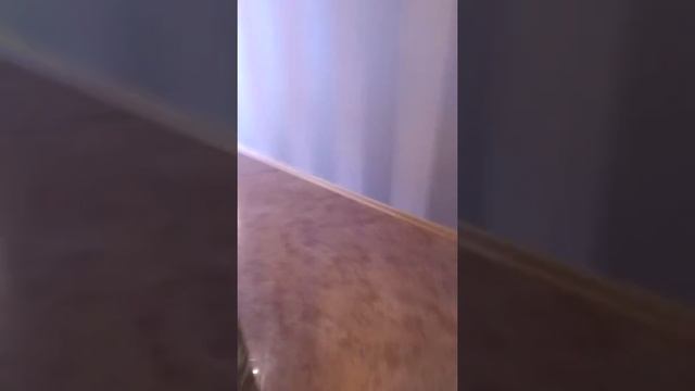 Копия видео "Квартира премиум класса в ЖК Park Avenue 2699у.е. с торгом" смотреть онлайн