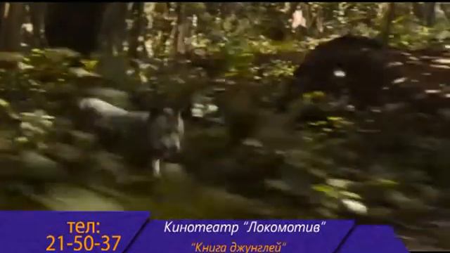 Каждый день (Рика ТВ) от 6 апреля 2016 года смотреть онлайн