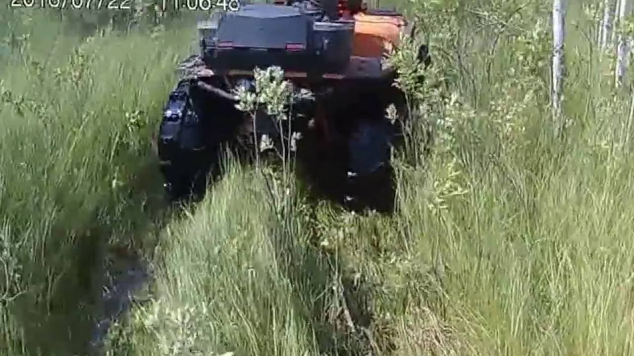 квадросокол, о. Отоково, часть 1, дорога до озера 22072016 смотреть онлайн