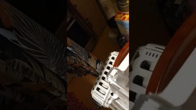 ?Жизнь после развода с депрессией и болезнями!Что люблю есть вечером! ?Устраняю течь холодильника! смотреть онлайн