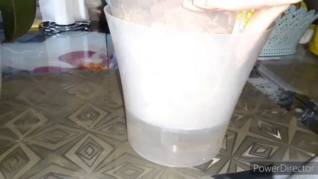#Орхидеи после #Омоложения/Первый # Полив/Посадка в #Мох_ Живой/Как сделать Заказ на мох