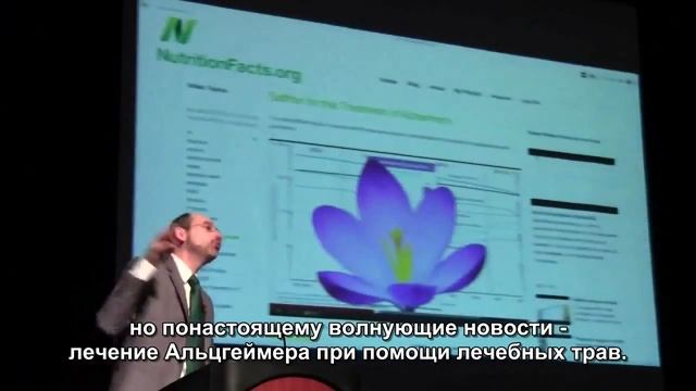 Самое крупномасштабное медицинское исследование веганов смотреть онлайн