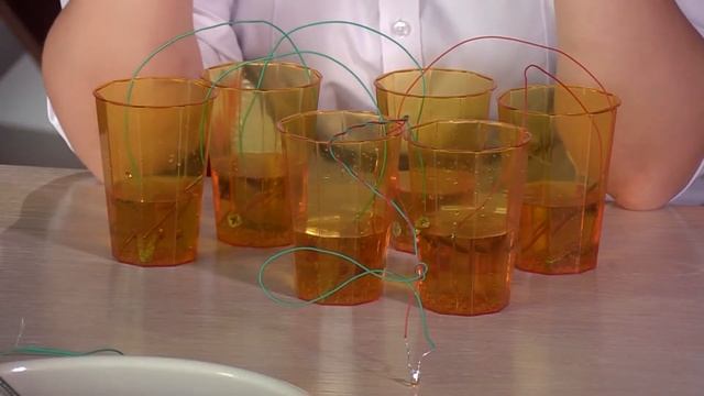 Гальванический элемент – что это и как он появился? Уроки физики с «ИнПро» смотреть онлайн