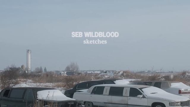 seb wildblood - sketches смотреть онлайн