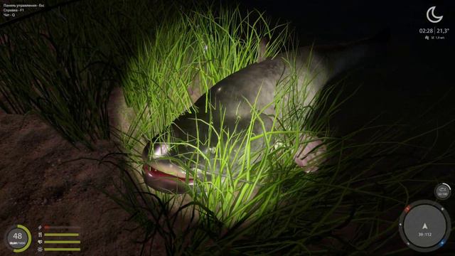 Трофей Сом на карповик.. смотреть онлайн