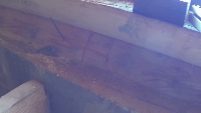 Лага половая смотреть онлайн