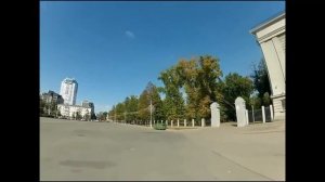 Чем палочник опасен [уникальнейший перезалив]