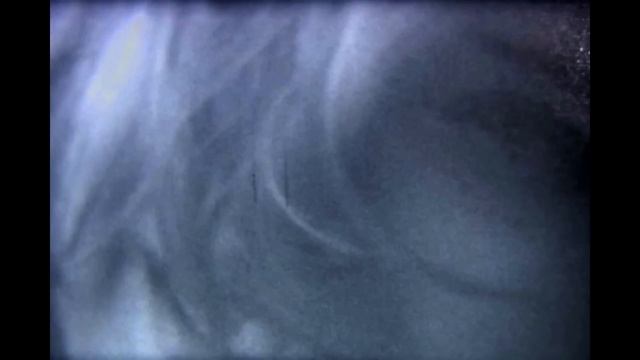 Tamaryn - Dawning (Official) смотреть онлайн