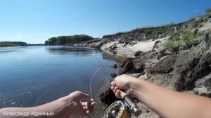 Рыбалка 2018 на реке Десне ловля жереха голавля на нахлыст