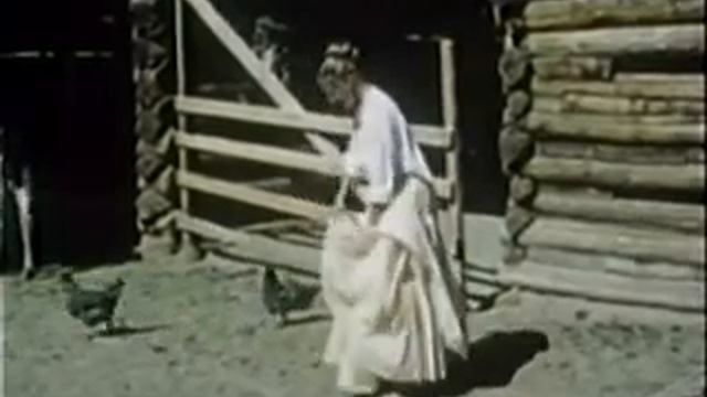Apache Blood - 1975 Western Full Movie Starring: Ray Danton, Dewitt Lee (A Man Called She / Pursuit