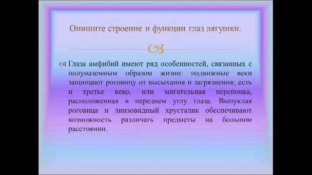 Класс Амфибии 2. Урок биологии. смотреть онлайн
