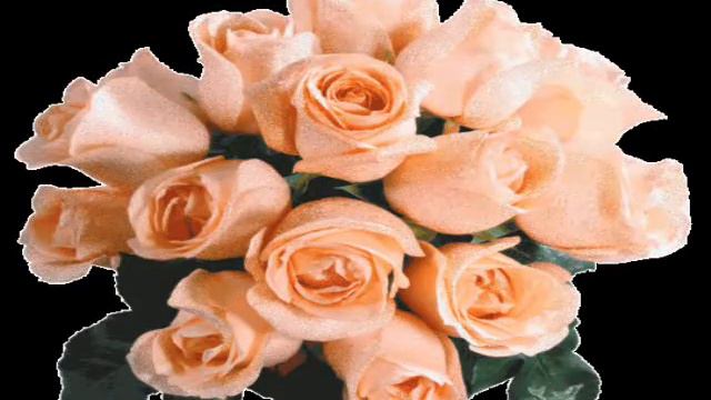 ГАЛОЧКЕ, любимой сестричке!. смотреть онлайн