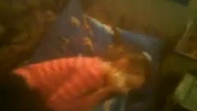 21.12.2007 я распак-ю ноут HP Pavilion (снято на телефон) смотреть онлайн