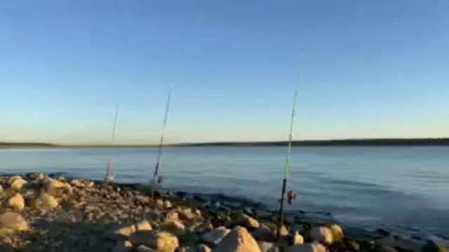 Live fishing: Hero or Zero? смотреть онлайн