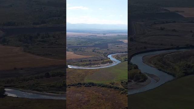 Река Песчаная Смоленского района Алтайского края #алтай #природа #путешествия #shorts смотреть онлайн