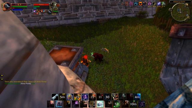 《WoW Classic》The farm in Hillsbrad Fields has not been this lively for a long time🥳 смотреть онлайн