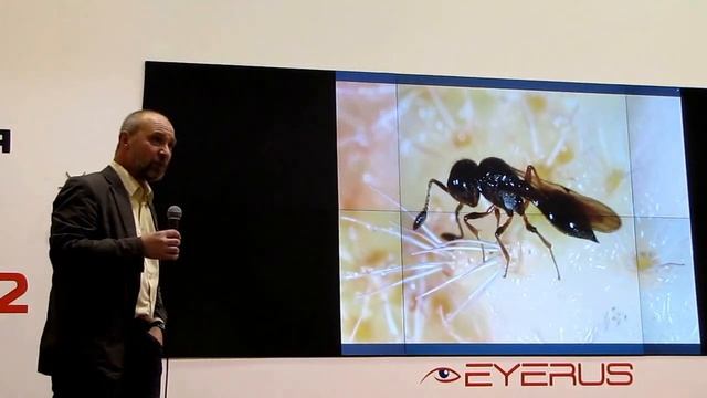 Жизнь в воде, насекомые, Владимир Карцев часть-3 смотреть онлайн