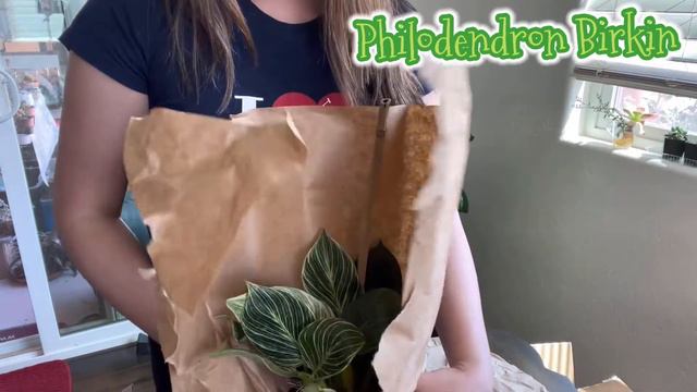 BIRKIN & WHITE STAR | PLANT MAIL | UNBOXING | PLANTERINA смотреть онлайн