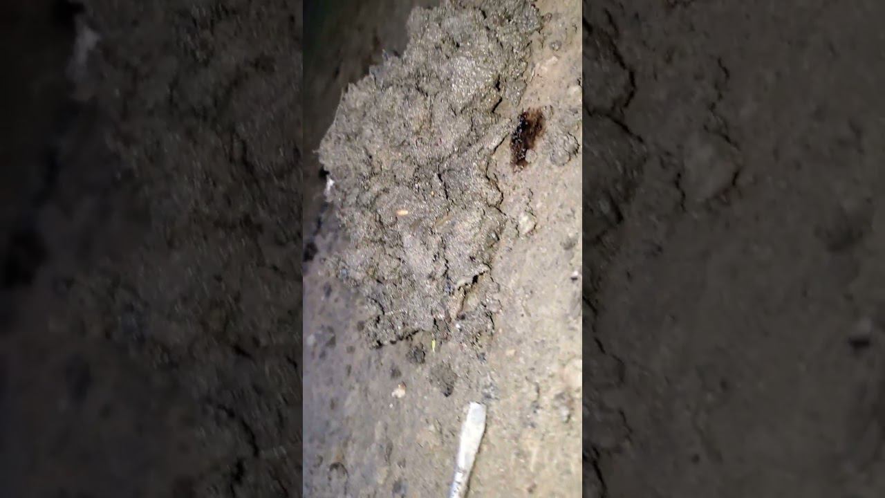 КАК РЖАВЕЕТ ГРАНТА?!