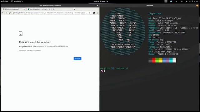 Using Domains with Your Server | Common DNS Configurations смотреть онлайн