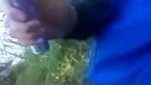 бред смотреть онлайн