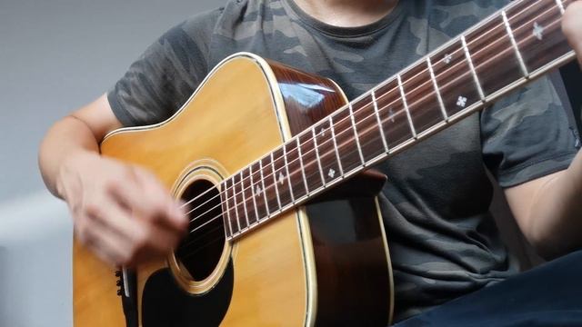 ทดสอบเสียง Pro Martin W-350 (custom) смотреть онлайн