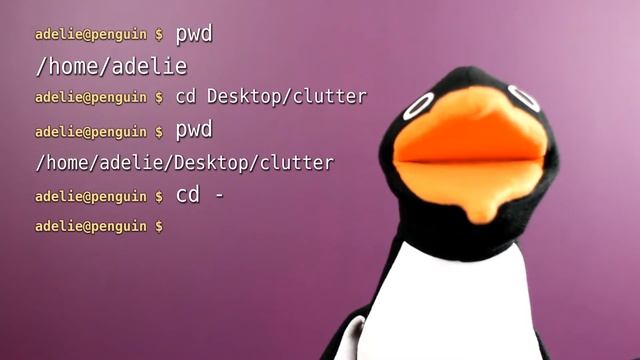 Change Directory (cd) Previous Directory Shell Command - Bin Bash смотреть онлайн