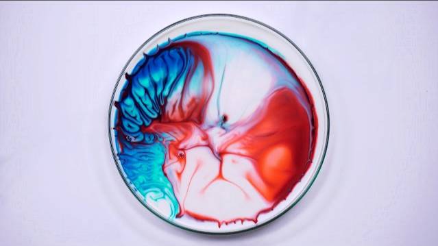 3 AMAZING COLOR EXPERIMENTS / EASY EXPERIMENTS